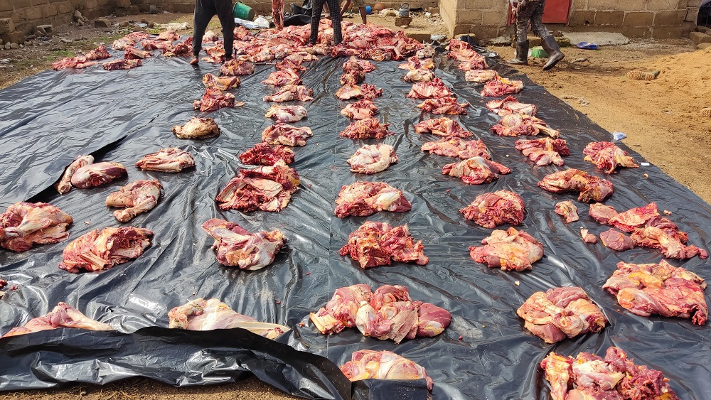 Mali Kurban Bayramı