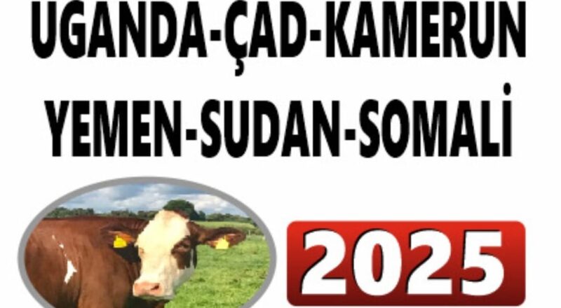 Genç Ufuk Derneği 2025 Kurban Organizasyonu